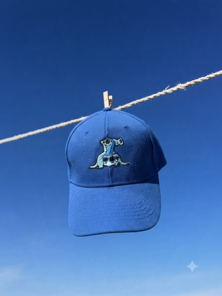 STITCH CAP